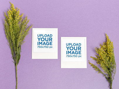 Placeit Mockup Of Two Polaroid Picture Frames Over A Colored